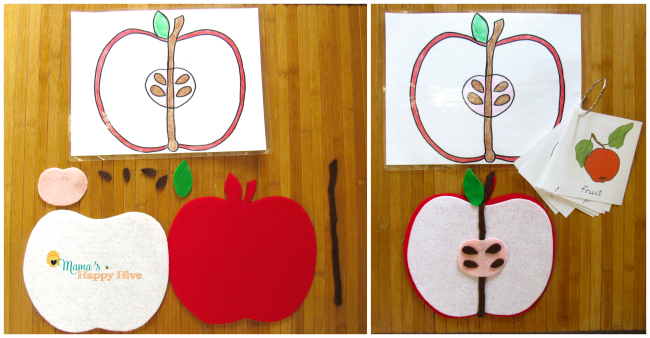 My Montessori Journey: Apple Art Project