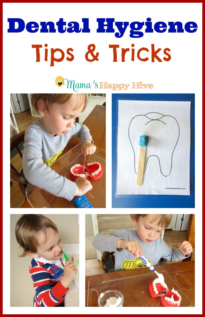Preschool Toddler Activities Dental Health, Printable Homeschool  Curriculum, Human Anatomy Activity 
