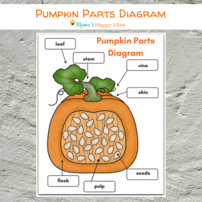 DIY Felt Pumpkin Parts and Life Cycle with Printables