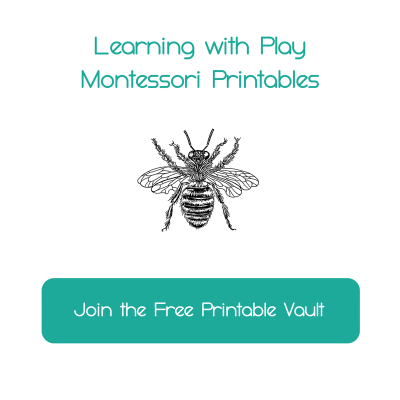 Montessori Printables - Mama's Happy Hive